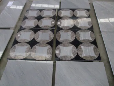 Affordable Italy Polissandro Blue Marble/Leather Deck/Subway/Bathroom/Kitchen/Bullnose/Floor/Wall/Back Splash/Indoor/Outdoor White Granite Floor Tile
