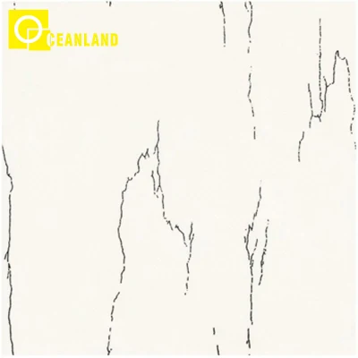 600X600mm Fashion Style Showroom Floor Polished Porcelain Wall Tile