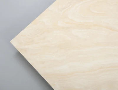 Floor and Wall in Algeria Yellow Porcelain Tile 800X800