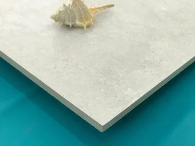 Floor and Wall Tile Ivory Italian Style 600X600mm Concrete Tile (CVL601)