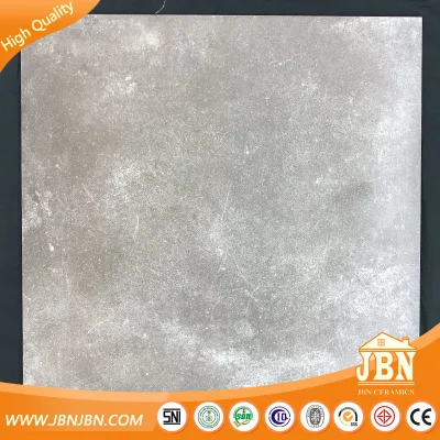 600X600mm 3D Inkjet Cement Rustic Floor Tile (JB6017D)