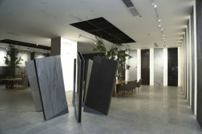 Wellscm Timeless Design Darwin Glazed Matte Ganite Nature Stone Ceramics Tile Bathroom Walls China Living Room Rustic