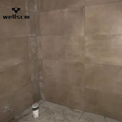 Chinese 60 X 120 Cm Big Size Matte Surface Non Slip Porcelain White Rectified Ceramic Tile Floor and Wall