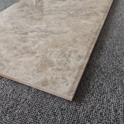 CE Approved Fashion Design Interior Glazed Ceramic Wall Tile with Factory Price