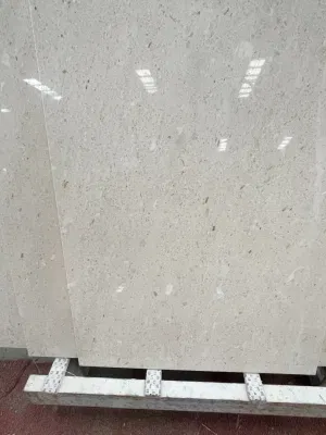 Natural Stone polished/honed shell beige marble tiles for interior/indoor Kitchen/Bathroom/Lobby/room floor/wall/kitchen/ceiling Decoration