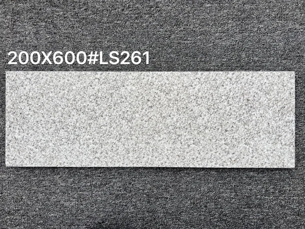 High Quality Full Body 18mm Thick Non-Slip Exterior Porcelain Paver Floor Tiles 200X600mm Ls261