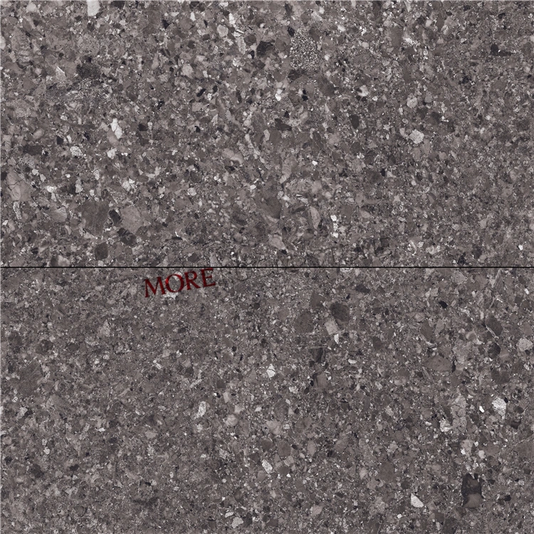 Foshan 600X1200 Big Size Living Room Design Crystal Terrazzo Texture Porcelain Tile Flooring for Sale