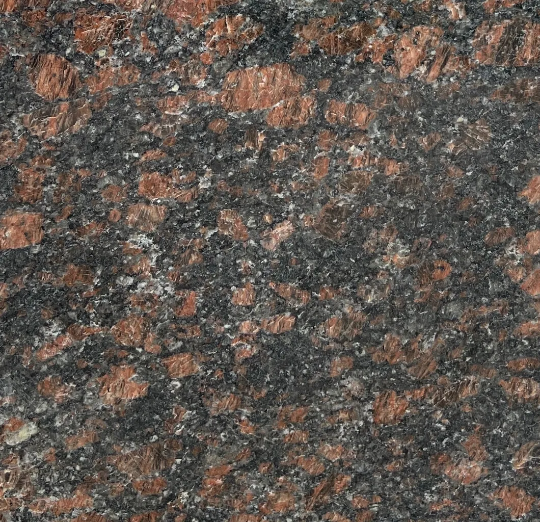 Natural Stone Angola Black/Indoor Outdoor Flooring/Countertops/Fireplace/Floor Tiles/Stairs/Wall Tile/Tombstone Granite