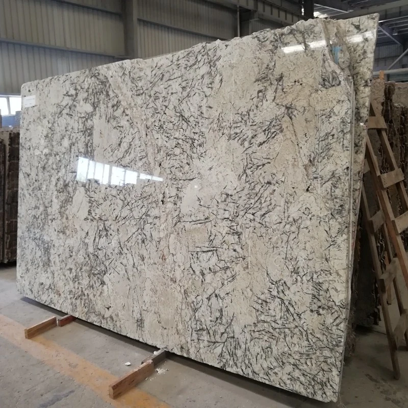 Granite Slab Kitchen Countertop Cabinet/Vanity/Counter/Table Luxury Granite Tiles