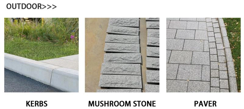 Building Material Decoration Natural Stone White Granite for Floor Tile Wall Tile Granite Dd1