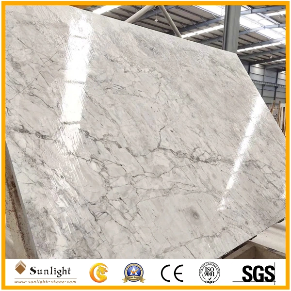 Popular Natural Stone Calacatta Grey Marble Slabs for Floor/Wall Tiles