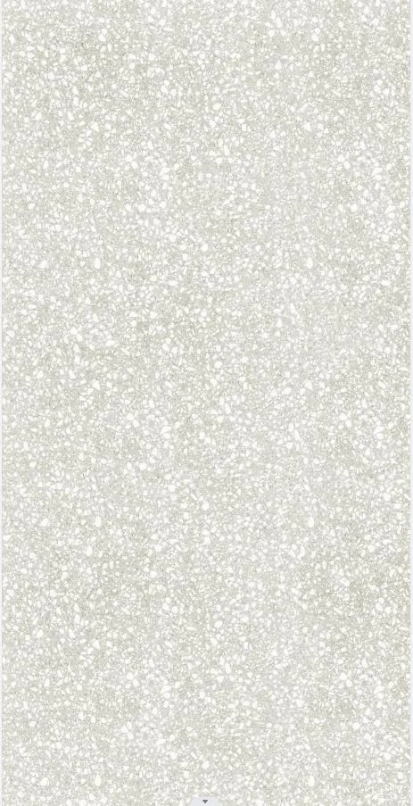 600X 1200 60*120 Terrazzo Design Full Body Matt Surface Porcelain Floo Tile