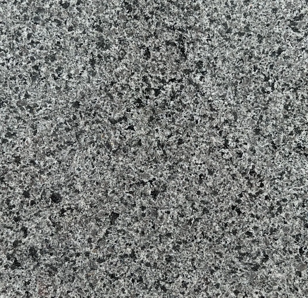 Natural Stone Angola Black/Indoor Outdoor Flooring/Countertops/Fireplace/Floor Tiles/Stairs/Wall Tile/Tombstone Granite