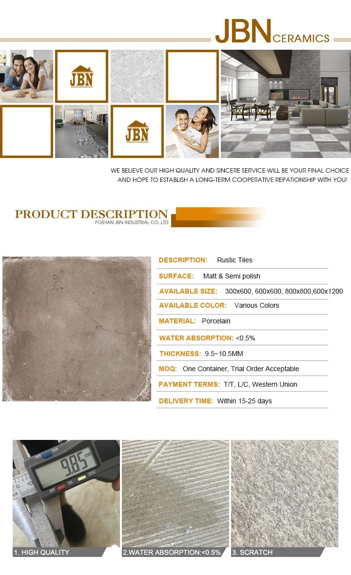 600X600mm 3D Inkjet Cement Rustic Floor Tile (JB6017D)