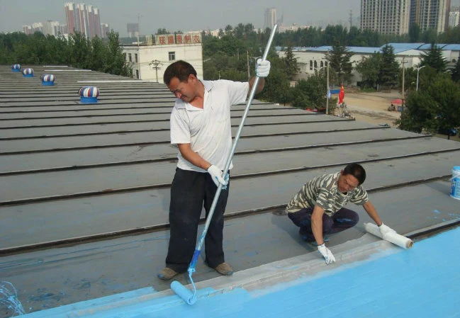 All Kinds of Metal Roofs Used Waterproof Coatings