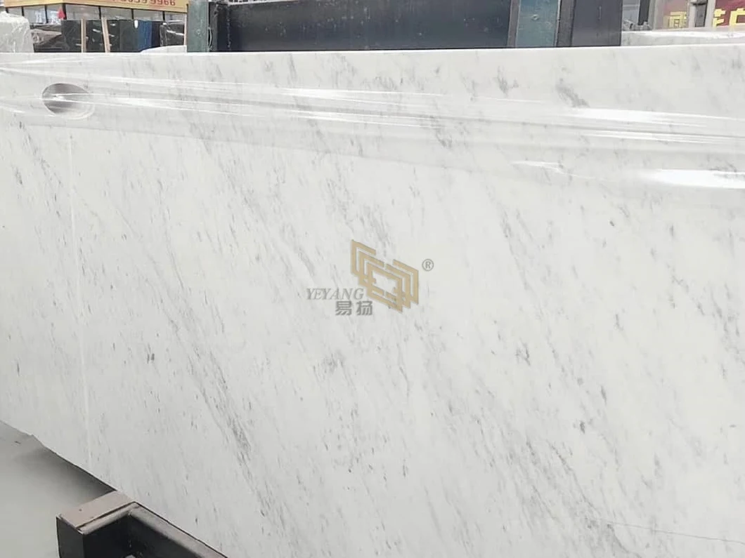 Carrara White Marble Slabs/Tiles/Kitchen/Bathroom for Hotel/Villa/Garden Design Wholesale