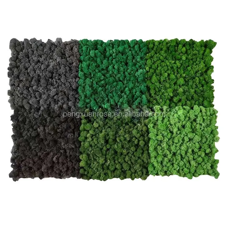 New Ideal Plant Wall Stabilized Moss Wall Irish Moss Tiles Preserved Moss Tiles