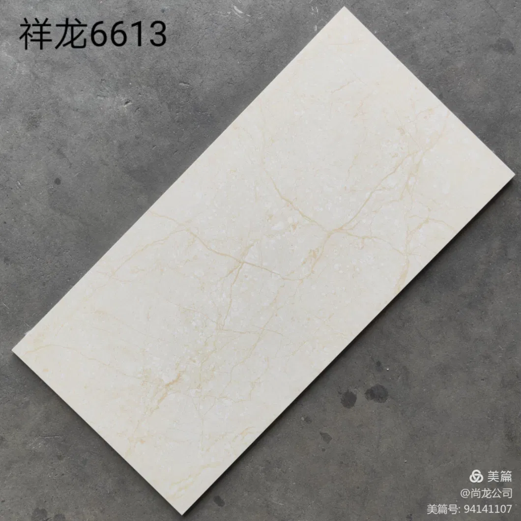 Glazed Wall Tile White Ceramic Tile for Bathroom and Kitchen