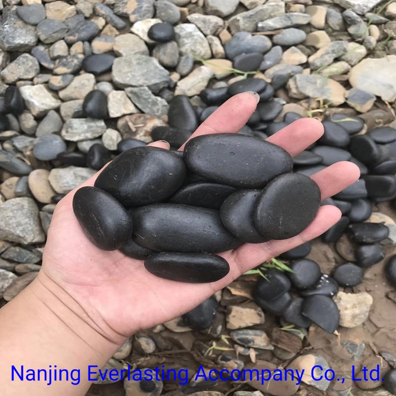 China Tiles Pebbles Decorative River Stones Black Landscape Pavement Cobblestone