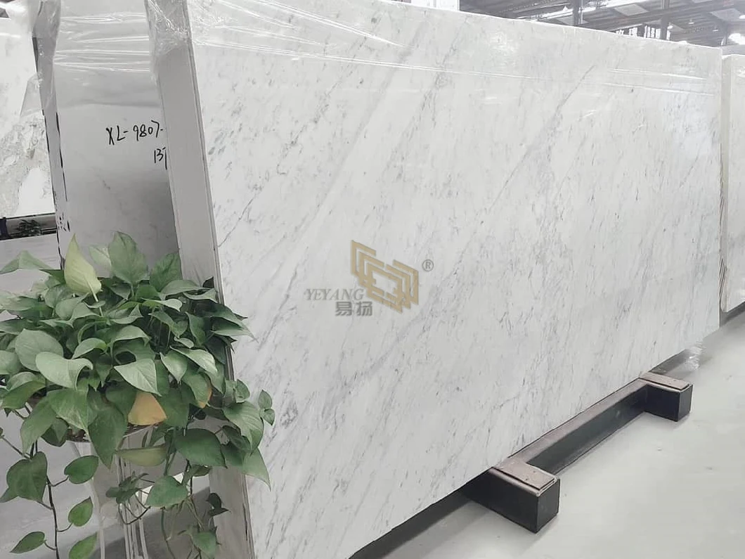 Carrara White Marble Slabs/Tiles/Kitchen/Bathroom for Hotel/Villa/Garden Design Wholesale