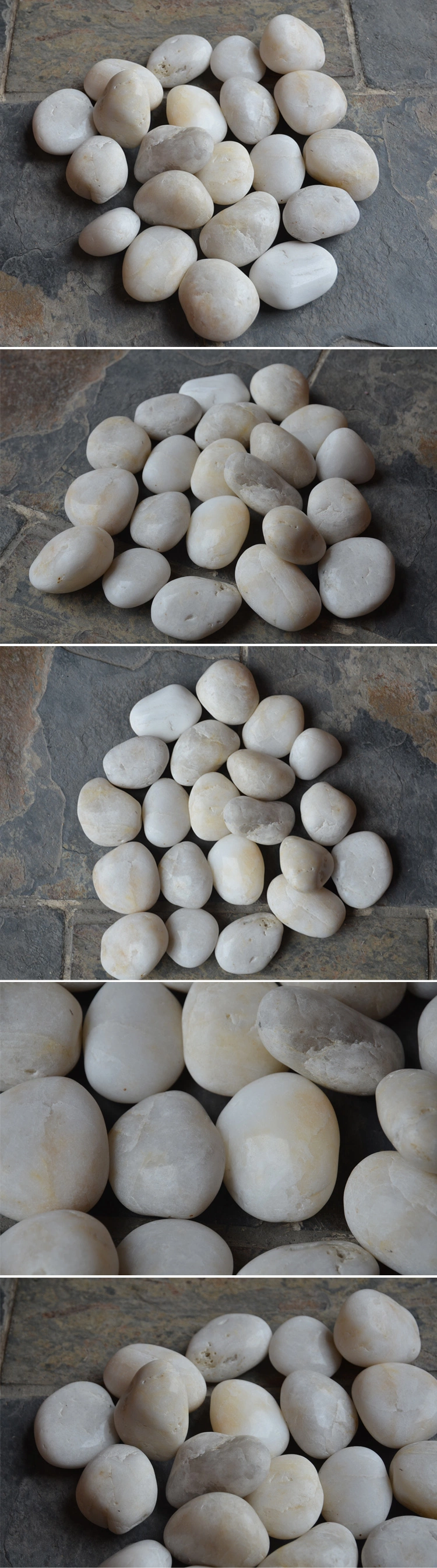 Commercial Use Natural Oval White Bathroom Tile Pebble Stones