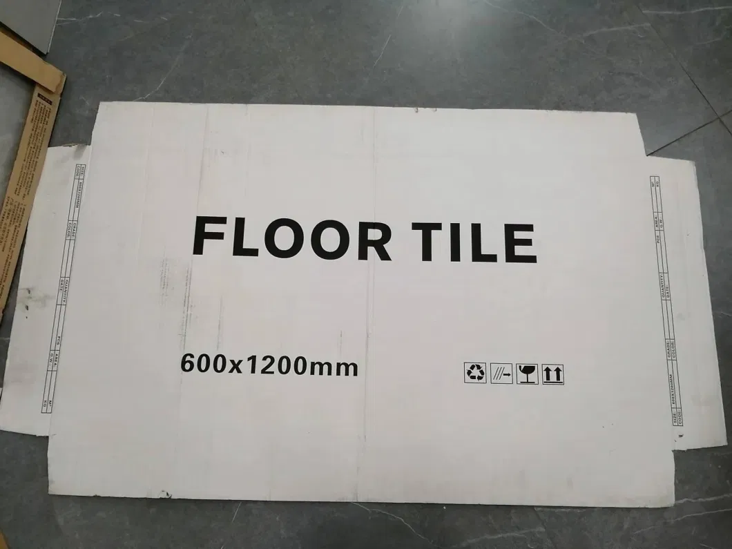Foshan Floor Tile 600X600mm Glazed Flooring Porcelain Ceramic Floor Tile (Hz6881/82)