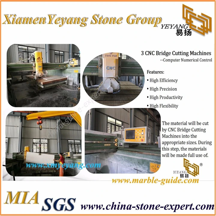 Granite Slab Kitchen Countertop Cabinet/Vanity/Counter/Table Luxury Granite Tiles