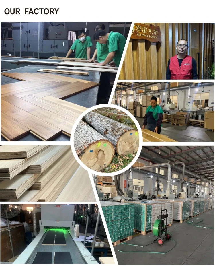 Dongguan Fishbone /Chevron Floor Select Grade Engineered Wooden Flooring Tiles