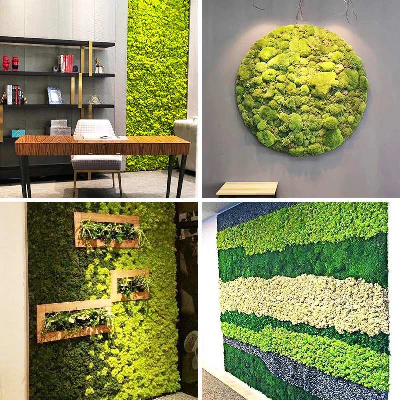 New Ideal Plant Wall Stabilized Moss Wall Irish Moss Tiles Preserved Moss Tiles