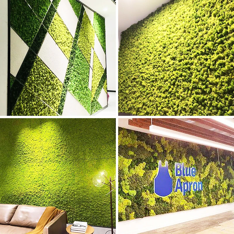 New Ideal Plant Wall Stabilized Moss Wall Irish Moss Tiles Preserved Moss Tiles