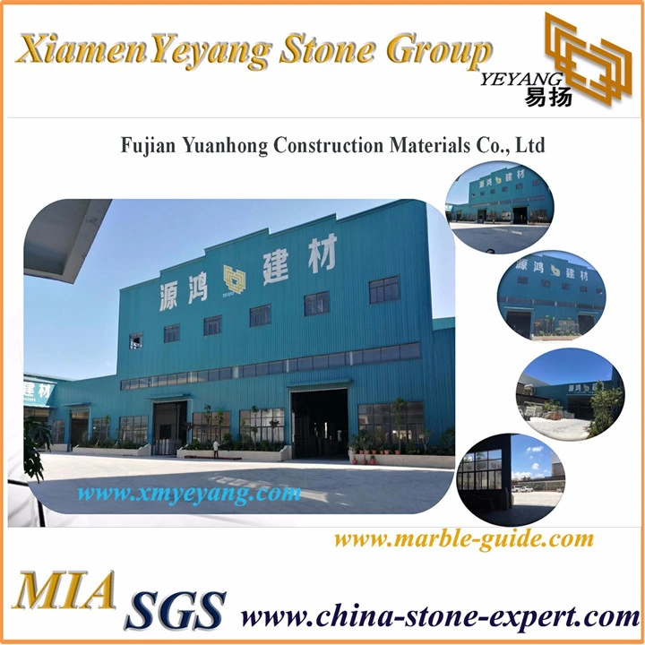 Granite Slab Kitchen Countertop Cabinet/Vanity/Counter/Table Luxury Granite Tiles