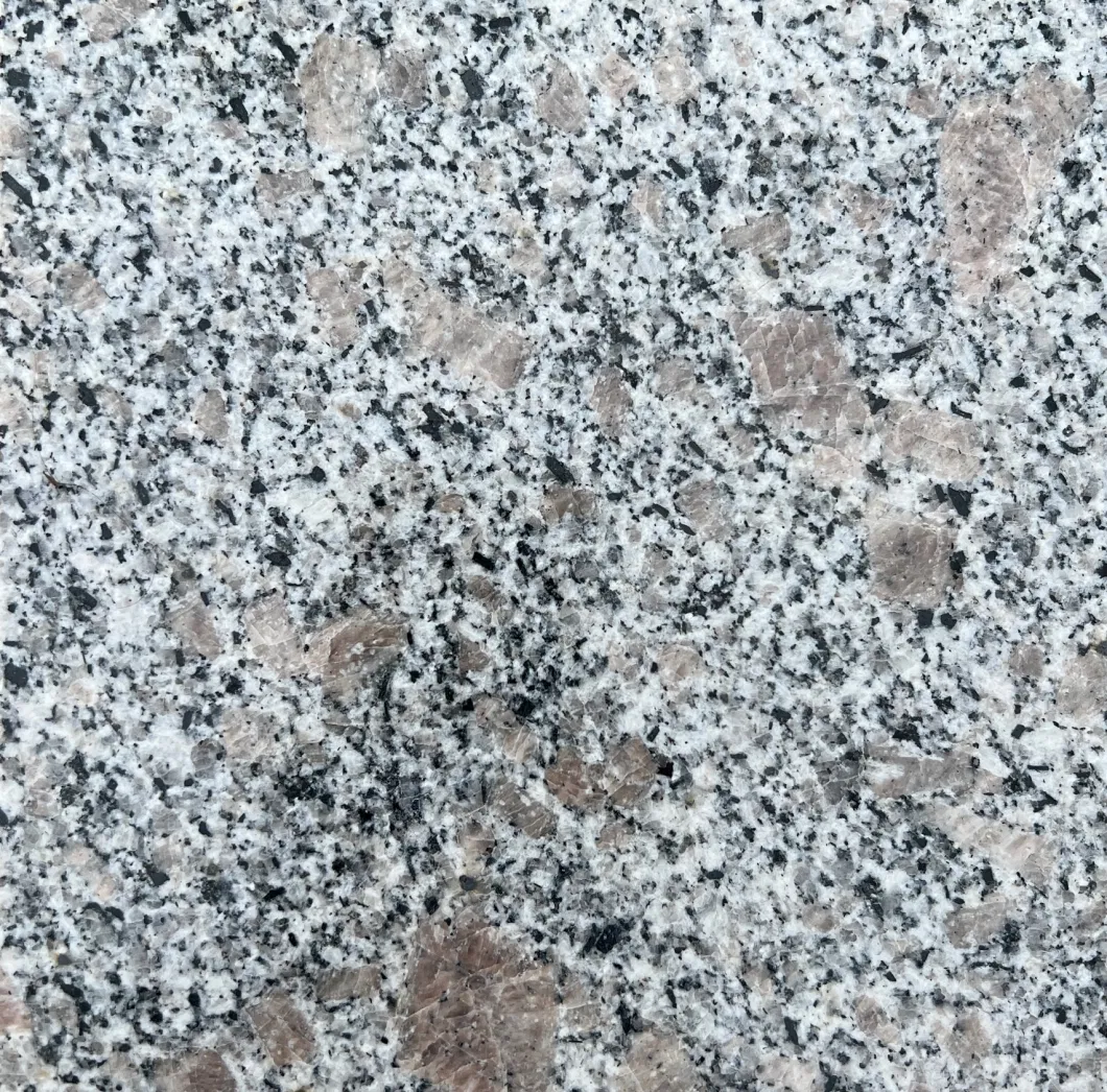 Natural Stone Angola Black/Indoor Outdoor Flooring/Countertops/Fireplace/Floor Tiles/Stairs/Wall Tile/Tombstone Granite