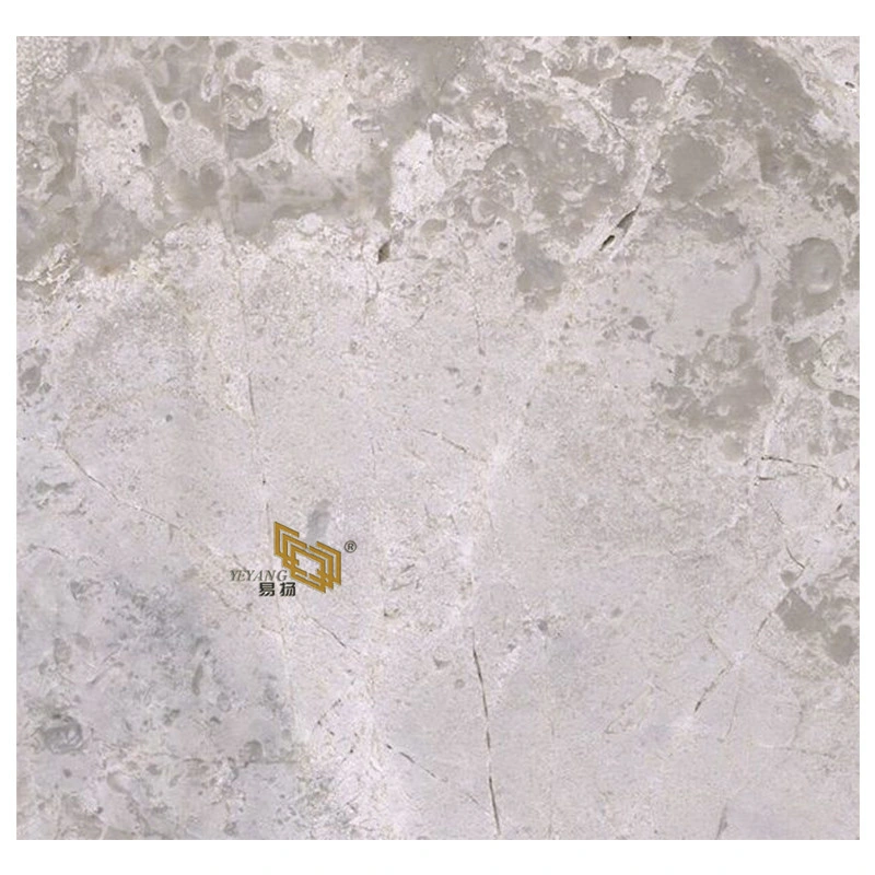 Marble White/Grey/Brown Marble Countertop/Vanitytop/Table/Kitchen/Bathroom/Slab Floor Tiles Building Material