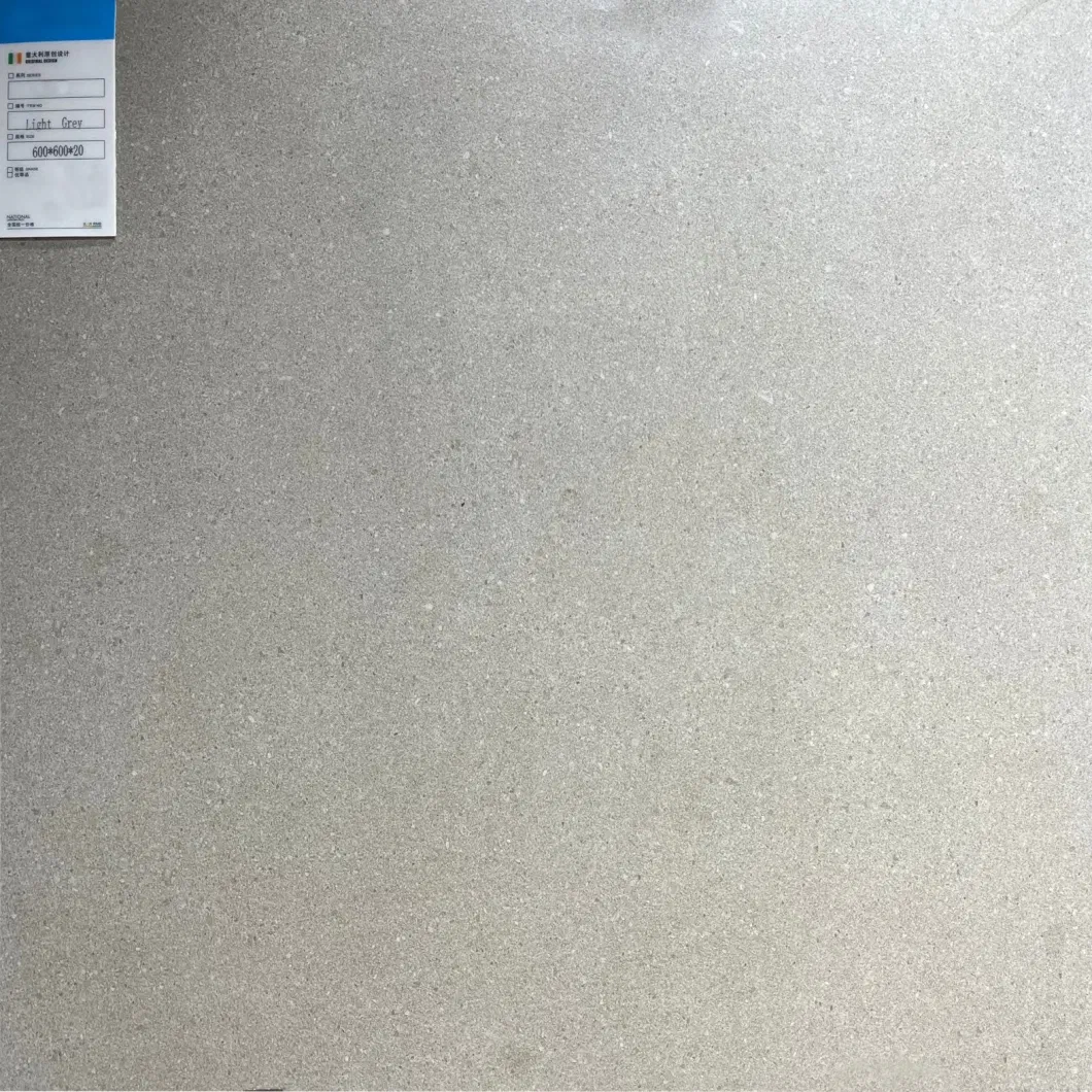 600X600X20mm Outdoot Florr Marble Look Porcelain Flooring Tile