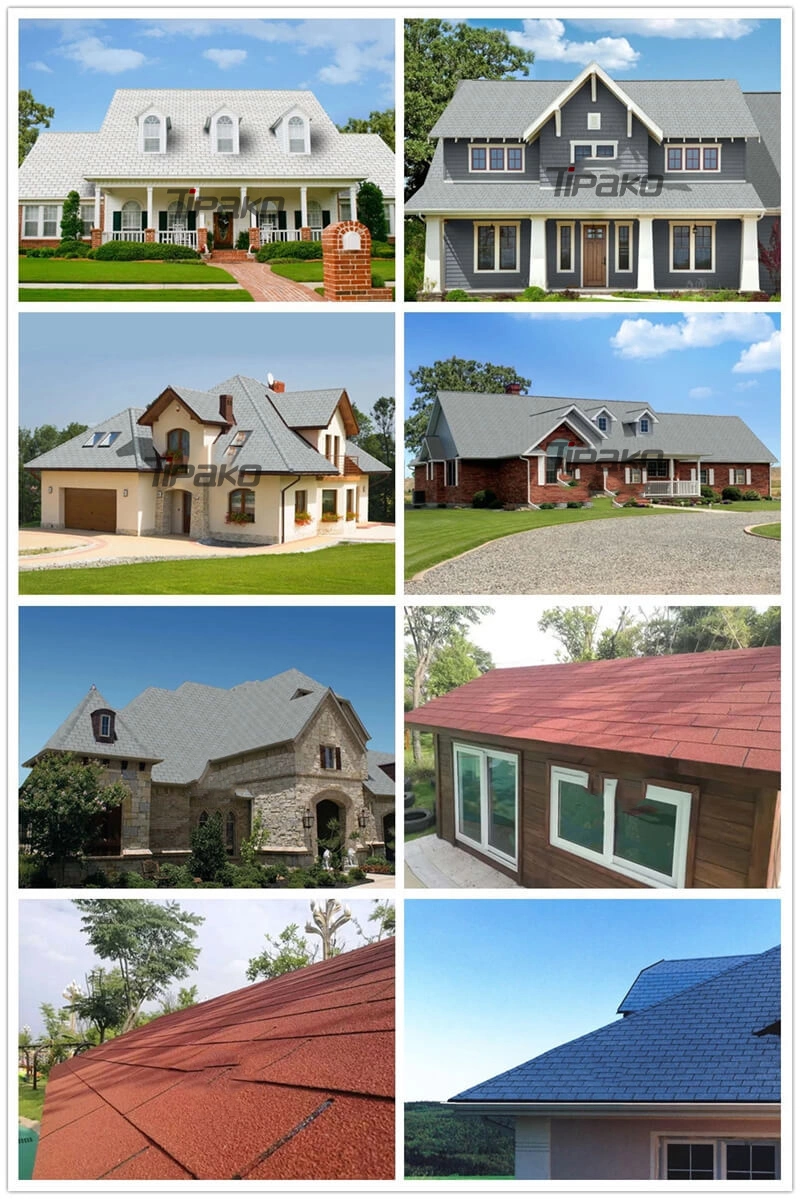 Golden Supplier Wholesale Roof Shingles Manufacturers Plain Roof Tiles 3D Model Design Office Building Graphic Design