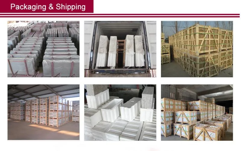 Building Material Decoration Natural Stone White Granite for Floor Tile Wall Tile Granite Dd1