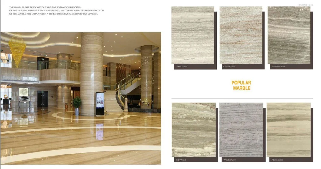 Polished Athens Wood/Wooden White Marble Slabs/Tiles/Wall/Floor Stone Countertop