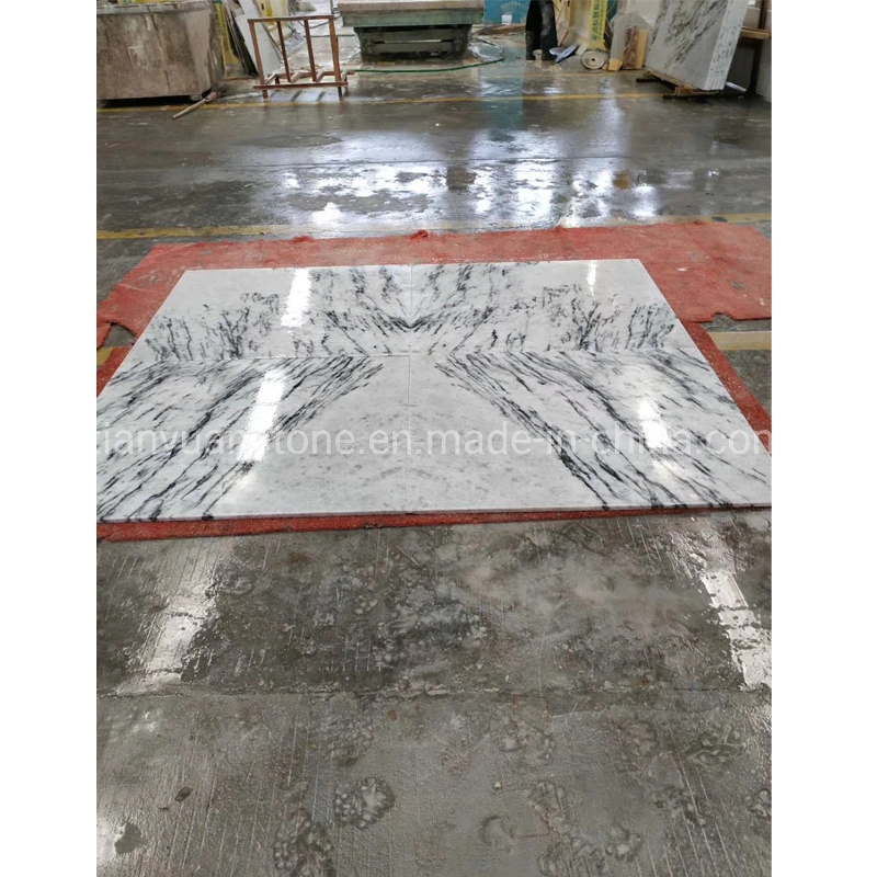 Grey Vein White Marble Slab for Flooring and Wall Tiles