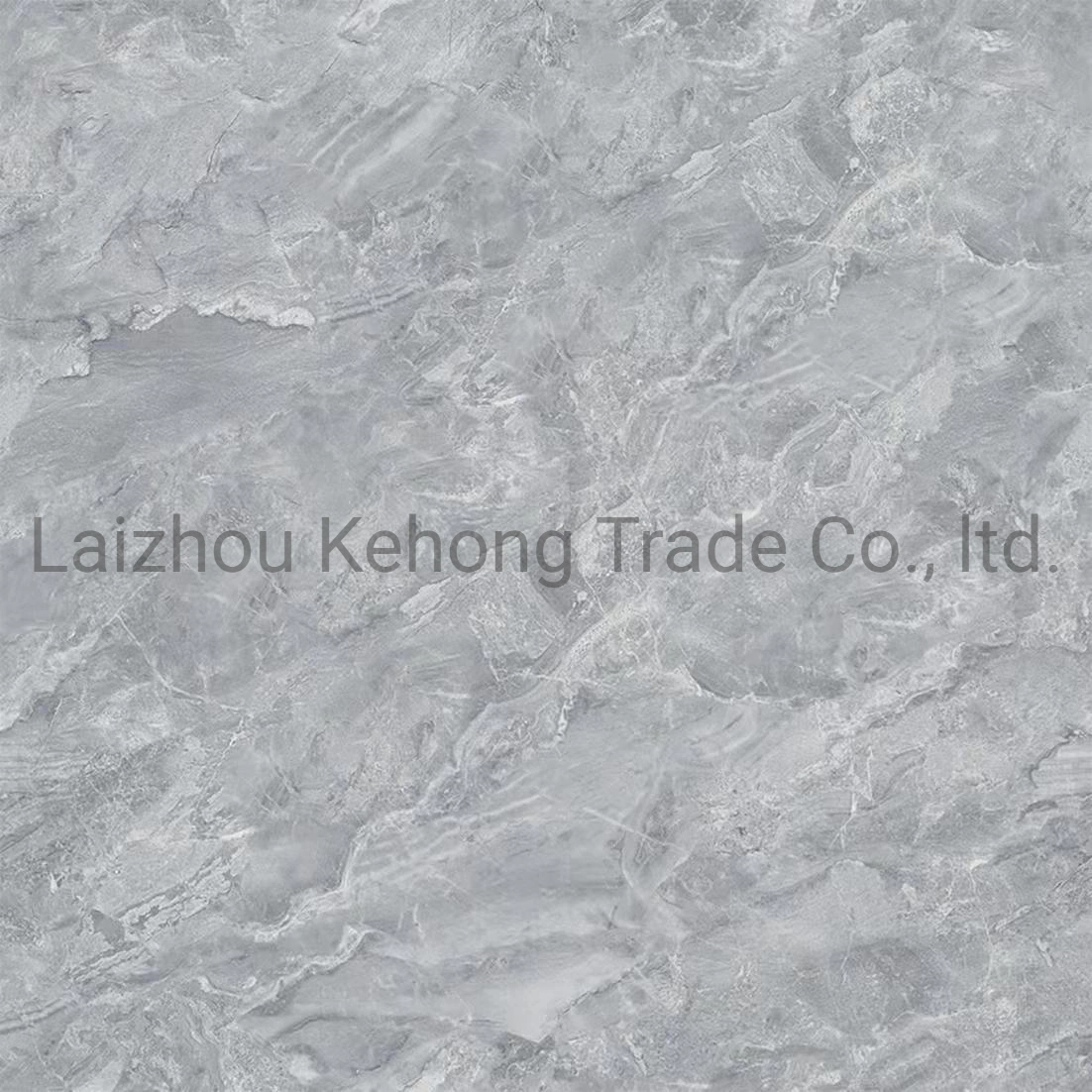 Interior Floor Tiles and Wall Tiles 8905