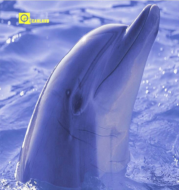 High Quality Ocean Design 3D Ceramic Wall Tiles in China