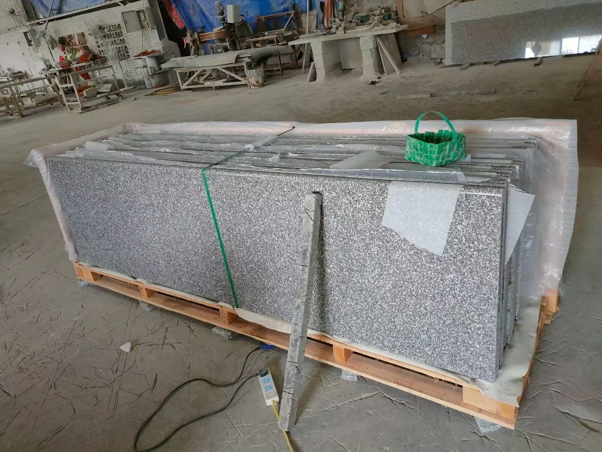 Building Material Natural Stone Polished Granite for Floor Tile Ceramic Tile Granite (01-06)