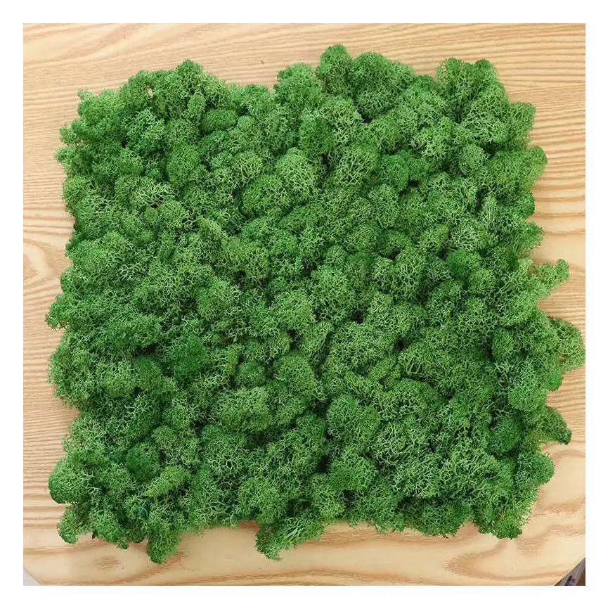 New Ideal Plant Wall Stabilized Moss Wall Irish Moss Tiles Preserved Moss Tiles