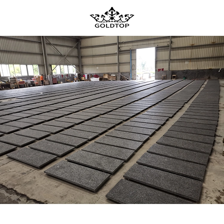 Rockfaced, Sandblasted, Tumbled, Flamed Black Angola Granite Tiles for Interior, Exterior, Wall, Floor, Paving Project
