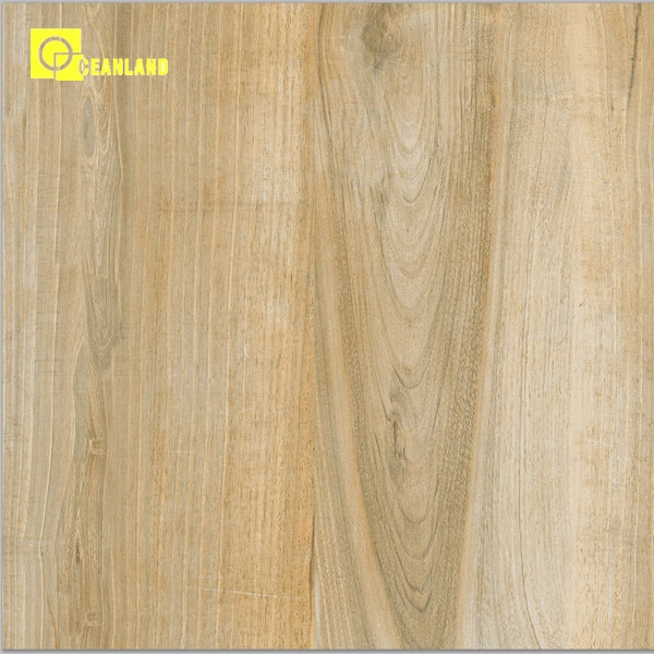 Polished Porcelain Tile, Floor Tile 60X60, Tile for Floor Used