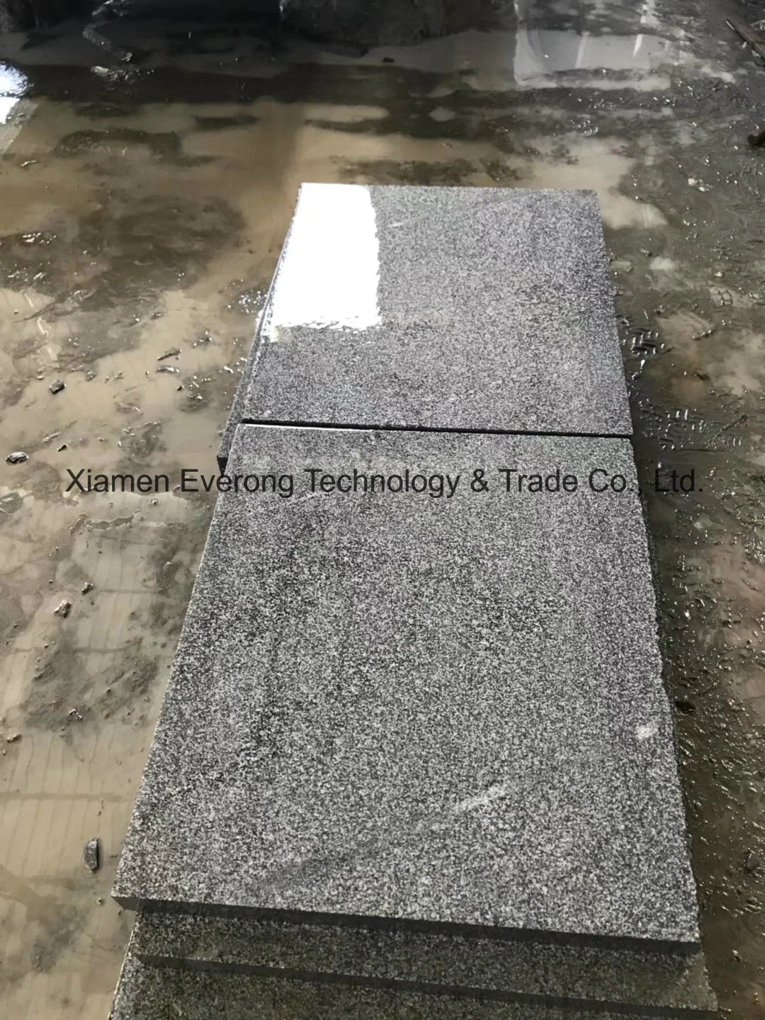 G655 Granite Stone/Grey Granite Tiles for Paving/Kerbstone/Wall Cladding