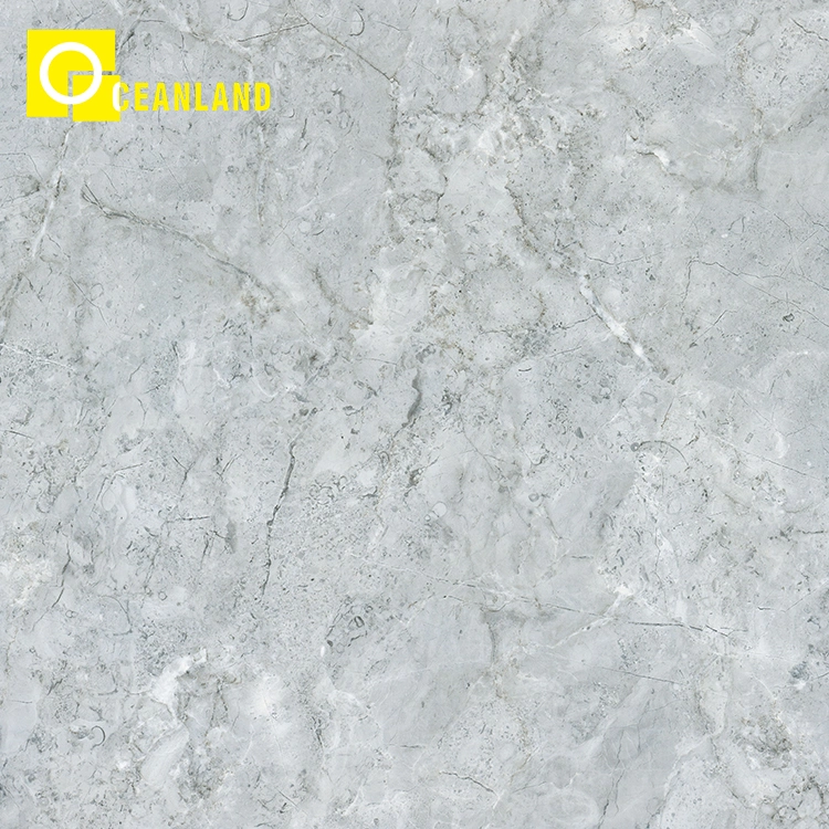 Waterproof Modern Ceramic Tile Household Construction Material Porcelain Tiles