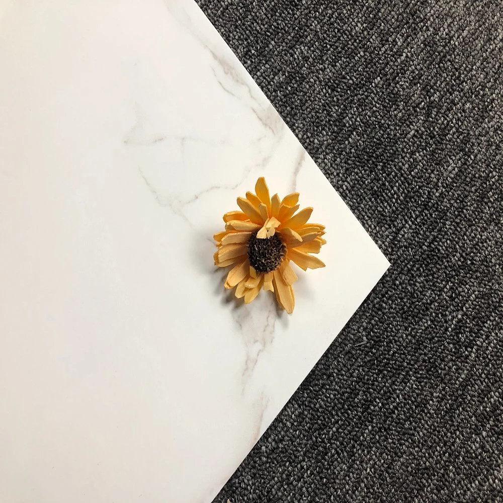China High Quality Flooring Tile Household Ceramic Tile with CE 63047
