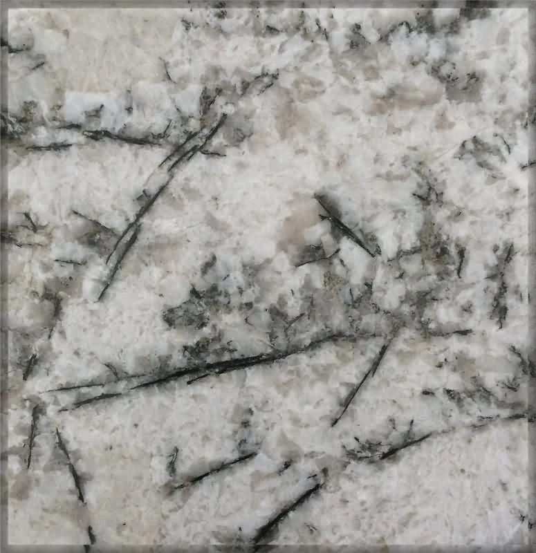 Building Material Decoration Natural Stone White Granite for Floor Tile Wall Tile Granite Dd1