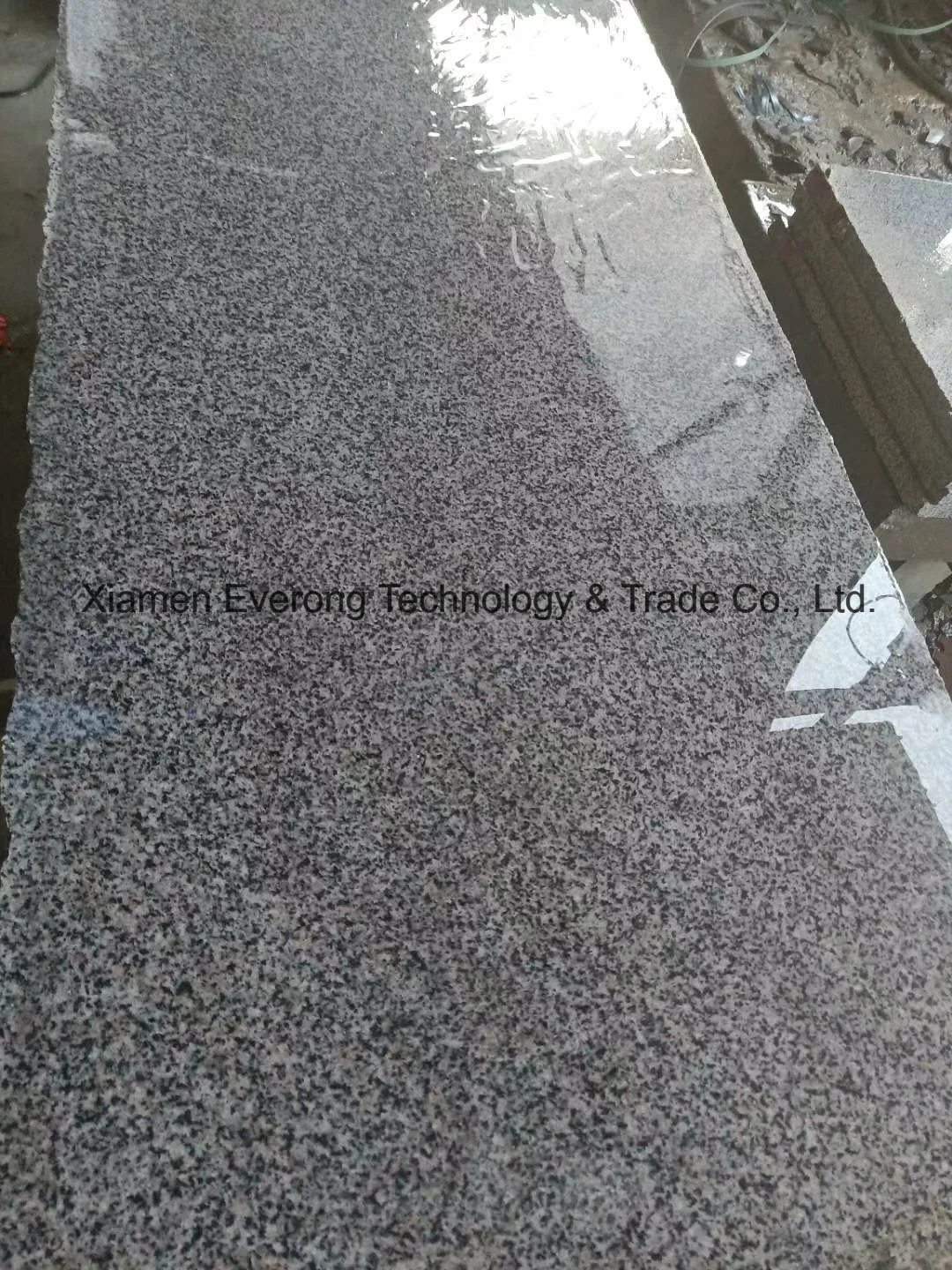 G655 Granite Stone/Grey Granite Tiles for Paving/Kerbstone/Wall Cladding