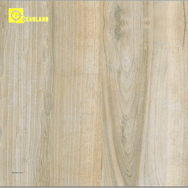 Polished Porcelain Tile, Floor Tile 60X60, Tile for Floor Used